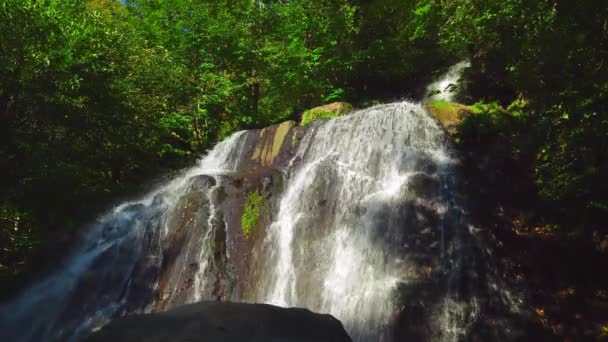 Chute d'eau fabuleuse dans la forêt sauvage. Magnifiques cascades avec de l'eau douce, — Video