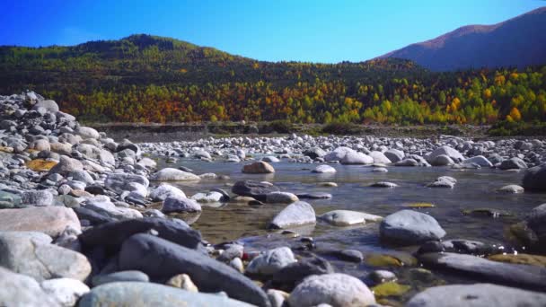 秋天山中的山河。湍急的水流格鲁吉亚、 Svaneti. — 图库视频影像