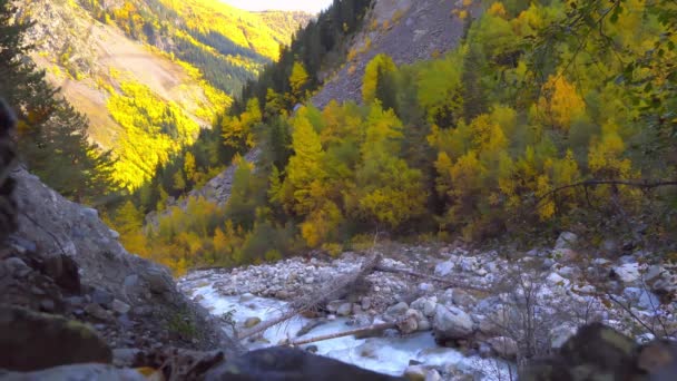 Górska rzeka w jesiennych górach. Burzliwy prąd. Gruzja, Svaneti. — Wideo stockowe