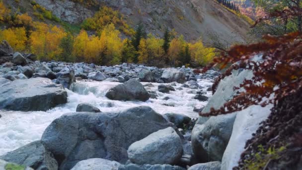 Bergrivier in de herfstbergen. Een turbulente stroming. Georgië, Svaneti. — Stockvideo