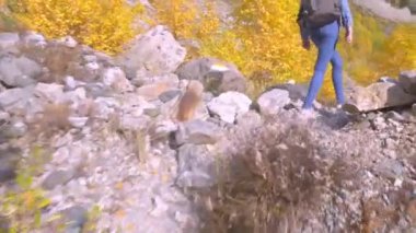 Genç, güzel, ince bir kadın dağlarda tek başına..