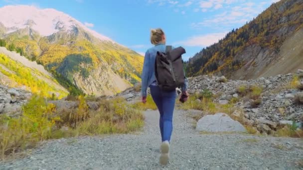 若い観光客が山間部を歩き美しい風景を眺め. — ストック動画