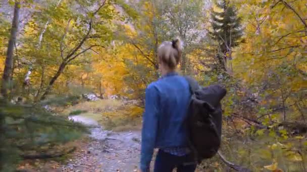 山の中で一人で若い美しいスレンダー女性. — ストック動画