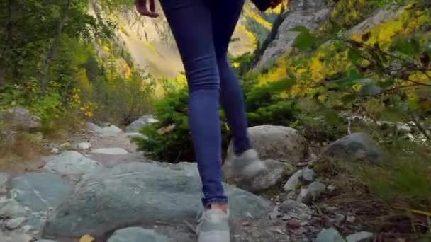 Una giovane bella donna snella da sola in montagna. — Video Stock