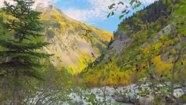 Río de montaña en las montañas de otoño. Una corriente turbulenta. Georgia, Svaneti. — Vídeos de Stock