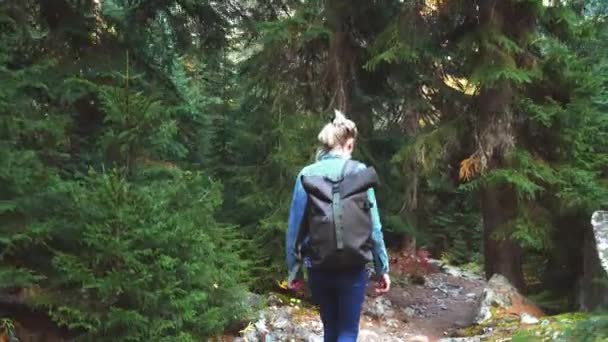 Jonge toeristische wandelingen door bergachtig gebied en kijkt naar prachtig landschap. — Stockvideo