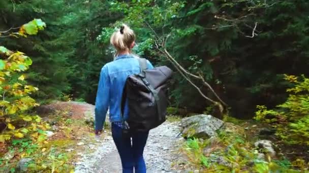 Νεαρός τουρίστας περπατά μέσα από ορεινή περιοχή και κοιτάζει όμορφο τοπίο. — Αρχείο Βίντεο