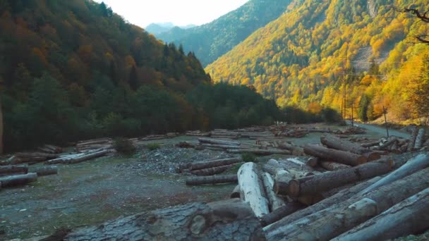 Mucchio di tronchi di legno in mezzo alle montagne. — Video Stock