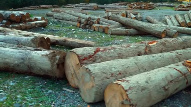 Hromada dřevěných klád uprostřed hor. — Stock video