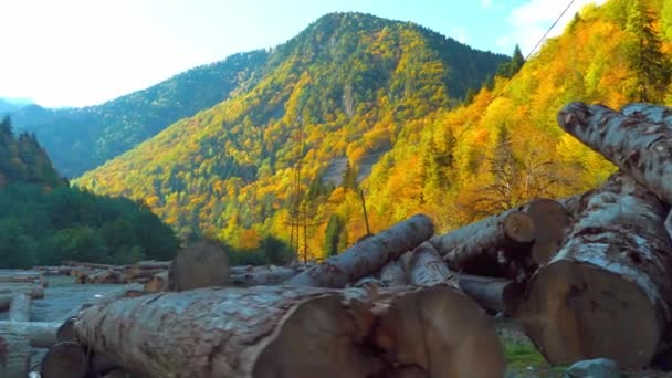 Σωρός από ξύλινα κούτσουρα στη μέση των βουνών. — Αρχείο Βίντεο