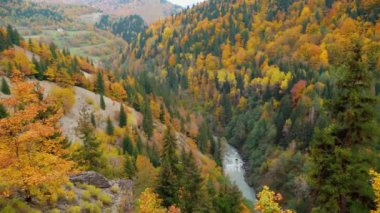 Sonbahar dağlarındaki dağ nehri. Çalkantılı bir akıntı. Georgia, Svaneti.