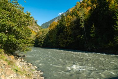 Hızlı dağ nehri ağaçların arka planına doğru akar. Dağlar, güneşli bir sonbahar gününde mavi gökyüzü. Gürcistan dağlarında renkli sonbahar manzarası