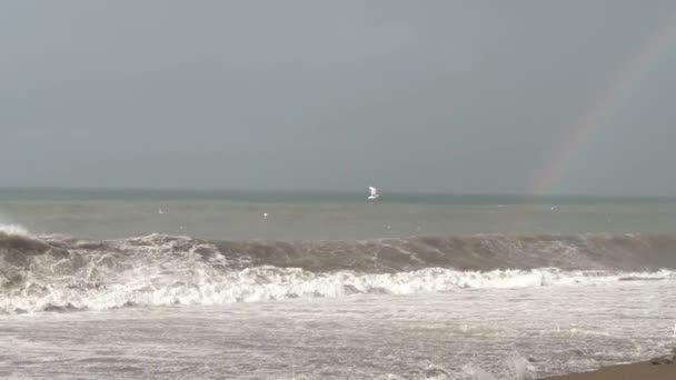 Vagues fortes sur la mer ou l'océan. arc-en-ciel apparaît à l'horizon après la tempête et la pluie. — Video