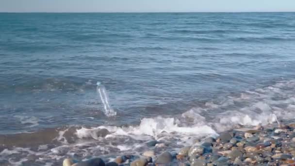 A plastic bottle falls into the sea and is swept away by the current. — Vídeo de Stock