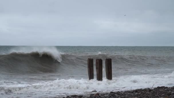 Штормовые волны врезаются в старые железобетонные колонны на пляже — стоковое видео