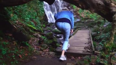 Gürcistan 'da Mirveti şelalesi. Kamera ağaçtaki bir kemerin içinden uçuyor..