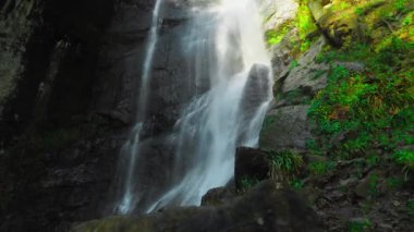 Mahuntseti Şelalesi, Gürcistan 'da, sık bir ormanda. seyahat ve doğa teması,