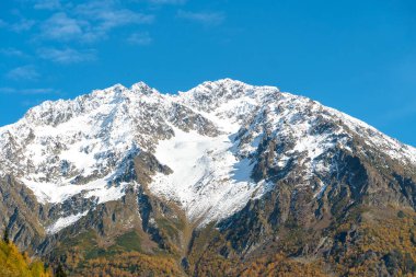Güzel dağ manzarası, renkli ağaçlarla dolu sonbahar günü ve güneşli bir günde etkileyici kar zirveleri. Kafkasya dağlarının resimli manzaraları, Gürcistan
