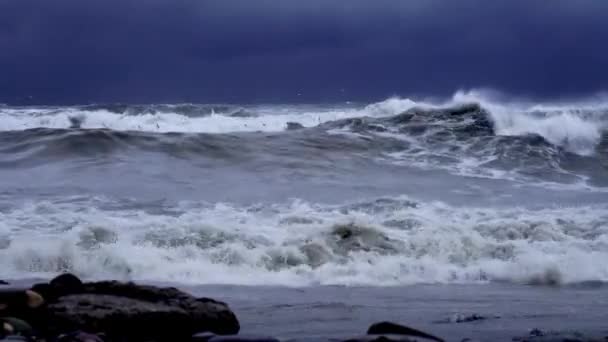 Storm waves and dramatic black sky on the horizon. on the beach, — Vídeo de Stock
