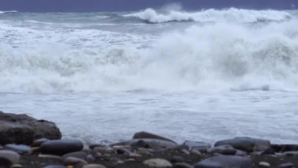 Storm waves and dramatic black sky on the horizon. on the beach, — Vídeo de Stock