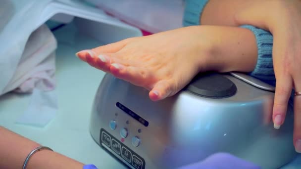 Close-up of manicure master applies layer of pink gel polish to client's nail. — Stok video
