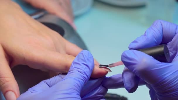 Close-up of manicure master applies layer of pink gel polish to client's nail. — Stock video