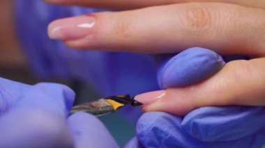 close-up of a manicurist paints a black French on the client's nails with a brush.