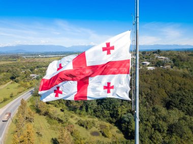 Güneşli bir sonbahar gününde, Gürcistan bayrağının arka planındaki ağaçlara yakın çekim görüntüsü.