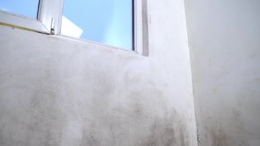 Küf şeklinde bir siyah mantar büyür ve apartmandaki beyaz bir duvara yayılır..