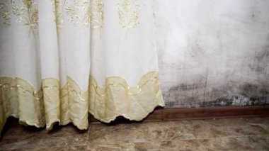 Küf şeklinde bir siyah mantar büyür ve apartmandaki beyaz bir duvara yayılır..