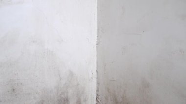 Evde küf var. Duvarlarda siyah küf.