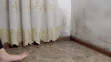 Küf şeklinde bir siyah mantar büyür ve apartmandaki beyaz bir duvara yayılır..