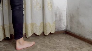 Küf şeklinde bir siyah mantar büyür ve apartmandaki beyaz bir duvara yayılır..