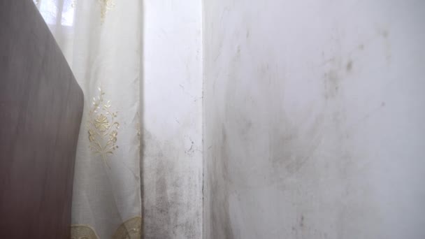 Черный грибок в виде плесени растет и распространяется на белой стене в квартире. — стоковое видео