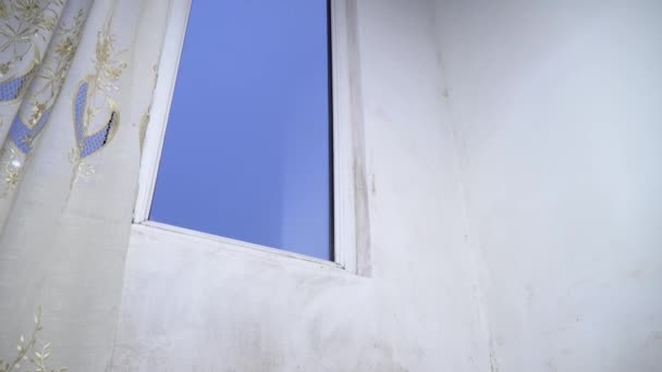 Een zwarte schimmel in de vorm van schimmel groeit en verspreidt zich op een witte muur in appartement. — Stockvideo