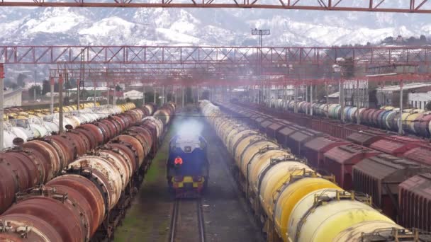 Pociągi towarowe zaparkowane na stacji kolejowej. — Wideo stockowe