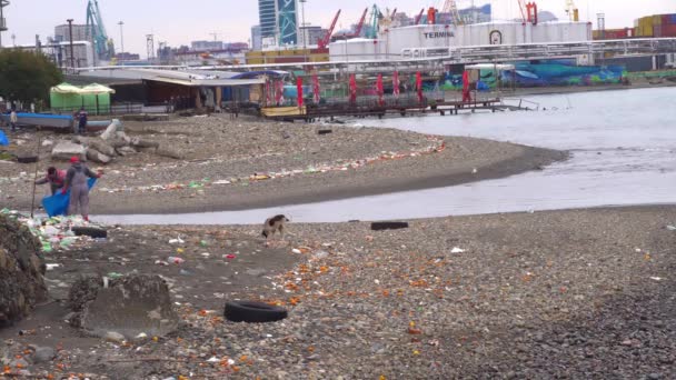 조류에 의해 해안으로 쓸려가는 플라스틱 폐기물. 두 명의 노동자가 쓰레기를 자루에 넣고 있습니다. — 비디오