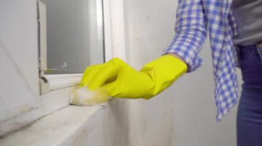 Sarı lastik eldivenli bir kadının eli beyaz bir duvarı yıkıyor.