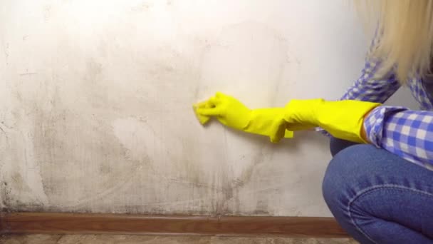 Ξανθιά, πλένει λευκό τοίχο στο διαμέρισμα με αφρό, σφουγγάρια σε κίτρινα γάντια — Αρχείο Βίντεο
