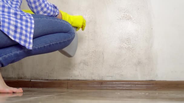 Mujer caucásica rocía solución de limpieza en la pared para eliminar el moho. — Vídeo de stock