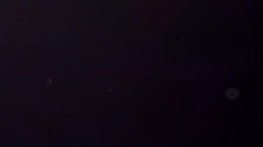 Instagram Uygulamasının Akıllı Telefonla Açılışı.