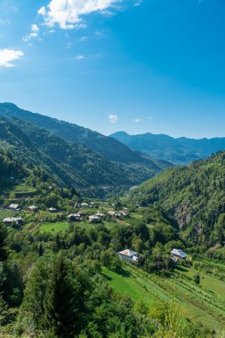 Güneşli bir günde yeşil dağların vadisindeki evlerin güzel manzarası. Aydınlık bir yaz gününde güzel bir dağ manzarası, Georgia. Dikey fotoğraf