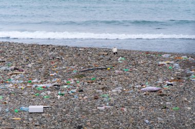 Şişeler, plastikler, çöpler denizin çakıl taşı sahilinde. Modern dünyanın çevresel ve çöp sorunları.