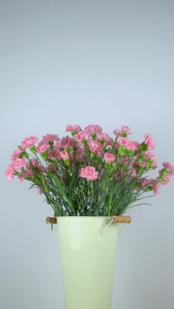 Nahaufnahme einer großen Anzahl rosa Nelken in einer rotierenden Zinnvase. — Stockvideo