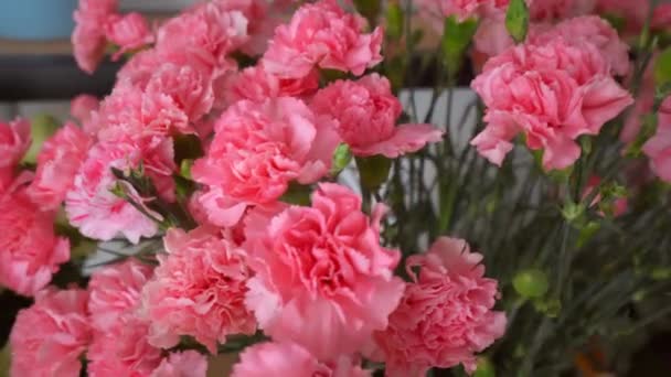 Primer plano de un gran número de claveles rosados en una florería o fiesta. — Vídeos de Stock