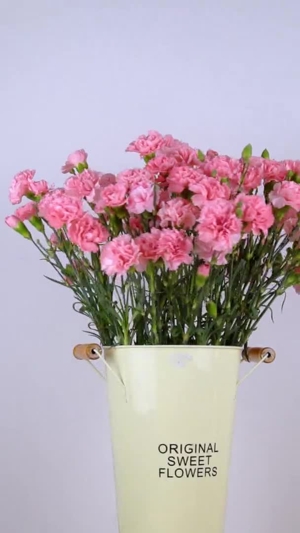 Gros plan d'un grand nombre d'œillets roses dans un vase en étain tournant. — Video
