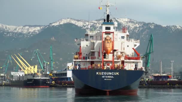 Batumi Georgia April 2022 Liquefied Petroleum Gas Carrier Ship Carrying — ストック動画
