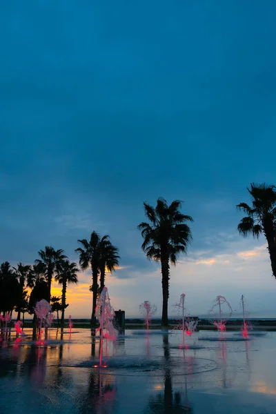 Beautiful evening sunset on the sea embankment with fountains, palm trees. Charming city landscape. Vertical photo
