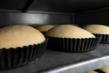 Yuvarlak demir kalıplarda ekmek hamuru yakın plan. Fabrikadaki fırında pişirmeden önce kalıplardaki gübre istenen duruma uyuyor.