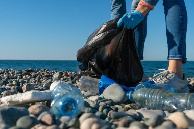 Plastik toplayan gönüllü bir kadının yakın çekimi. Siyah bir çöp torbasında çakıl taşı plajında köpük. Kopya alanı. Çöpsüz deniz kavramı, ekoloji.